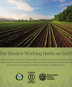 Gaia Herbs Adrenal Health Daily Support - with Ashwagandha, Holy Basil & Schisandra - Herbal Supplement to Help Maintain Healthy Energy and Stress Levels - 120 Liquid Phyto-Capsules (120 Count) 120 Count (Pack of 1) Standard Packaging 17 A1 ztOQT73L
