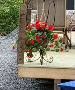 Nearly Natural 6609-RD 24in. Geranium Hanging Basket Silk Plant,Red,10.25" x 10.25" x 17.5" Red 27 A10vliTUF7L