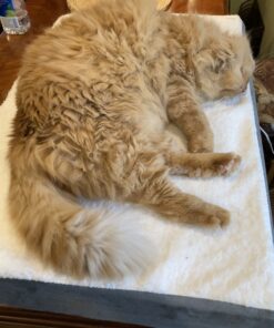 K&H Pet Products Heated Pet Bed Warmer Waterproof Pet Heating Pad for Cat Beds and Dog Beds, Tan Large 45 A11CQd7jL9L