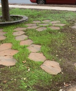 Jonathan Green (10840) Fast Grow Grass Seed - Cool Season Lawn Seed (7 lb) 7 pounds 22 A11IrB6EAoL