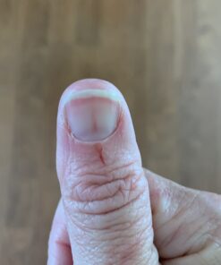 MidWest Homes for Pets Large Dog Crate | MidWest Life Stages Double Door Folding Metal Crate | Divider Panel, Floor Protecting Feet, Leak-Proof Pan | 42L x 28W x 31H Inches For Large Dog Breed 42.0"L x 28.0"W x 30.0"H Lifestages; Double Door 40 A11QiTwhMjL