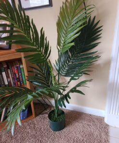 Nearly Natural 5295 4ft. Kentia Palm Silk Tree,Green 38 A11fjlYhDzL