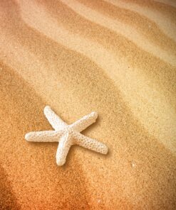 SUBANG 20 Pieces Starfish 2.3 Inch White Resin Sea Star Fake Starfish for Wedding Decor Beach Theme Party, Home Decorations,DIY Crafts, Fish Tank 2.3inch 18 A123jV4IpL