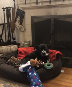 Majestic Pet 40 Inch Suede Calming Dog Bed Washable – Cozy Soft Round Dog Bed with Spine Support for Dogs to Rest their Head - Fluffy Donut Dog Bed 40x29x9 (Inch) - Round Pet Bed Large – Chocolate 40 in. 39 A124T81ok4L