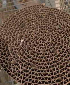 GERBS Raw Whole Sunflower Seed In Shell 1 lb., Top 14 Allergy Free Foods, Healthy Superfood Snack, Non GMO, No Oils, No Preservatives, Resealable Bag, Gluten Free, Peanut Free, Vegan, Keto, Kosher 21 A12M0gky5L