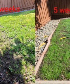 Scotts EZ Seed Patch & Repair Sun and Shade Mulch, Grass Seed, Fertilizer Combination for Bare Spots and Repair, 4 lb 3.75 lb. 1 Pack 35 A12ZxEO2KhL