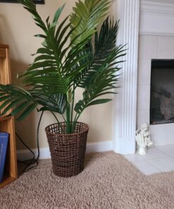 Nearly Natural 5295 4ft. Kentia Palm Silk Tree,Green 39 A13GGAhf4oL