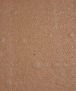 NUCO DUO Certified Organic, SHELF STABLE, All Natural, Paleo, Gluten Free, Vegan Non-GMO, Kosher Raw Veggie NUCO Coconut Wraps. NO Salt Added Low Carb and Yeast Free 10 Count Various Quantities Original 2.47 Ounce (Pack of 2) 35 A13R6gmCuoL