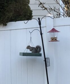 Woodlink Going Green Platform Bird Feeder Model GGPLAT 46 A14617YdG L