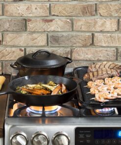Lodge LPGI3 Cast Iron Reversible Grill/Griddle, 20-inch x 10.44-inch, Black 20 Inch Double Burner 48 A14yJiTEQL