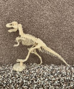 Dinosaur Excavation Kits for Kids,Dino Dig Kits T-Rex,Triceratops and Diplodocus,Dinosaur Fossil Excavation Kits,Children's Popular Science Education Toys - Dinosaur DIY Toys(Three-Piece Suit) 21 A16UvtdcjdL