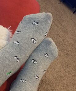 5 Pairs Womens Funny socks Cozy Cute Printed Patterned Fun Socks Novelty Cat Socks for Women Gifts One Size B-animals Multicolor(5 Pairs) 26 A17HEBiPfqL