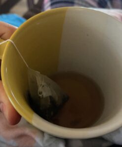 Pink Stork Constipation Support Tea: Organic Cinnamon Mint Laxative Tea for Digestion, Gas, and Constipation, Pregnancy and Postpartum Must Haves, Hot or Iced - 15 Sachet 31 A181s3CKa4L