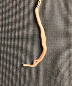 Allertech VentGuard Electrostatic Filtration Kit - 16" x 60" Roll - Air Vent Filter Guard - Electrostatically Charged Dust Control - HVAC Intake Registers & Grilles Cover - Hook & Loop Strip 16 x 60-Inch 40 A19DjA OxPL