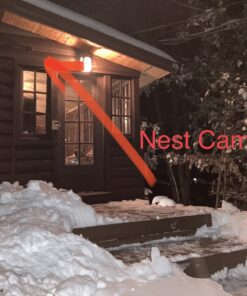 Google Nest Cam Outdoor 2-Pack - 1st Generation - Weatherproof Outdoor Camera - Surveillance Camera with Night Vision - Control with Your Phone 75 A19OWX49OrL