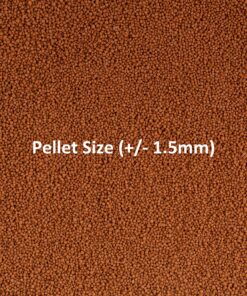 Ocean Nutrition Betta Pellets 2.65-Ounces (75 Grams) Jar 2.64 Ounce (Pack of 1) 26 A1AFEzPi2yS