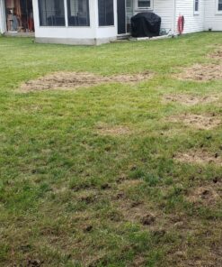 Scotts Turf Builder Grass Seed Sun & Shade Mix, Grows in Extreme Conditions & Spreads for a Durable Lawn, 7 lbs. 1 Pack 7 lb. 70 A1Am5pMq 2L 1