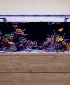 Current USA 36-48" Inch Orbit Marine LED Saltwater Reef Marine Aquarium Light | 24 Hour IR Lighting & eFlux Wave Pump Control | Adjustable Color Spectrum for Fish Tank (4102) Black 36 to 48-Inch 32 A1AomuiRmfL 2