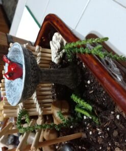 G & F Products MiniGardenn 10027 Fairy Garden Polyresin Miniature, Cardinal Birdbath Pick 34 A1BMGoQZ6mL 1