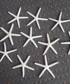 LOT of 10 White Pencil Starfish Wedding Decor 4" - 5" 16 A1BeIBdzrLL