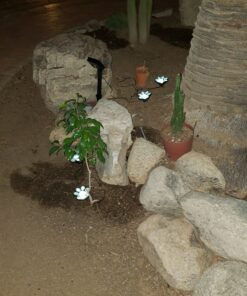 IdeaWorks JB7356 Solar Paw Print Outdoor Lights, Black 45 A1C75VidU8L