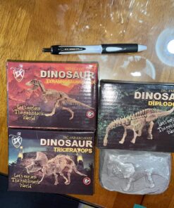 Dinosaur Excavation Kits for Kids,Dino Dig Kits T-Rex,Triceratops and Diplodocus,Dinosaur Fossil Excavation Kits,Children's Popular Science Education Toys - Dinosaur DIY Toys(Three-Piece Suit) 23 A1CNWXm NL
