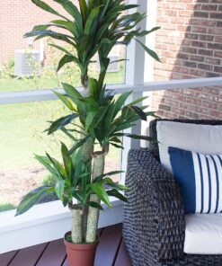 Nearly Natural - 6584 62in. Corn Stalk Dracaena Silk Plant (Real Touch), 24" x 28" x 62", Green artificial plant 39 A1D62S5587L