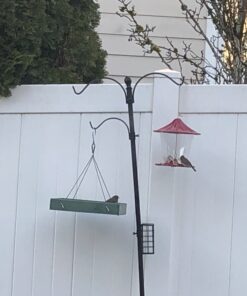 Woodlink Going Green Platform Bird Feeder Model GGPLAT 47 A1DECNkhm7L