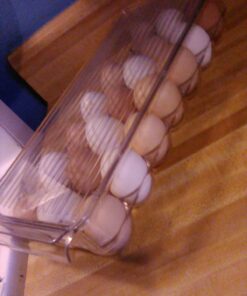 iDesign Plastic Egg Holder for Refrigerator with Handle and Lid, Fridge Storage Organizer for Kitchen, Set of 1, Clear 58 A1DJkEzZ8vL