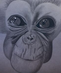 Derwent Graphic Pencils, Metal Tin, 24 Count (34202) 24 Count (Pack of 1) 38 A1Ey8FSjhuL