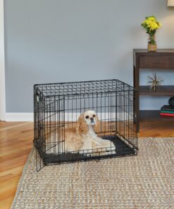 Medium Dog Crate | MidWest Life Stages 30" Double Door Folding Metal Dog Breed Crate | Divider Panel, Floor Protecting Feet & Dog Pan | 30.6L x 19.3W x 21.4H Inches 30.6"L x 19.3"W x 21.4"H Lifestages; Double Door 24 A1EzYCRRLVL