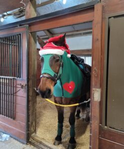 Tear Mender - TTB-6-D-B Instant Fabric and Leather Adhesive, 6 oz Bottle, TG06H 1-Pack 35 A1FBeYwSdZL