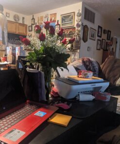 CANON PIXMA MG2922 Wireless All-in-One Inkjet Printer, 4800 x 600 dpi - Blue Finish 14 A1FhaohWu2L