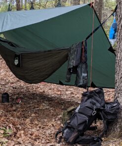 Cascade Mountain Tech Trekking Poles - Carbon Fiber Walking or Hiking Sticks with Quick Adjustable Locks Green 39 A1Fj7YuvQ2L