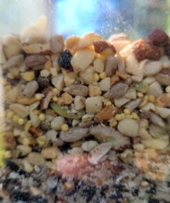 Lyric Fine Tunes Wild Bird Seed - No Waste Bird Food Mix - Attracts Bluebirds, Finches, Chickadees & More - 15 lb. Bag 15.00 Pound (Pack of 1) Seed Mix 43 A1GobKOgkL