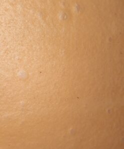 NUCO DUO Certified Organic, SHELF STABLE, All Natural, Paleo, Gluten Free, Vegan Non-GMO, Kosher Raw Veggie NUCO Coconut Wraps. NO Salt Added Low Carb and Yeast Free 10 Count Various Quantities Original 2.47 Ounce (Pack of 2) 36 A1IDQnW BlL