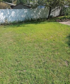 Scotts Turf Builder Grass Seed Quick Fix Mix Fast Growing Turf for a Temporary Lawn, 3 lbs. 3 lb. 58 A1IKbu0VCnL