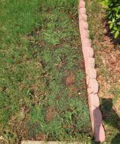 Scotts EZ Seed Patch & Repair Sun and Shade Mulch, Grass Seed, Fertilizer Combination for Bare Spots and Repair, 20 lb 20 lb. 1 Pack 53 A1JCxgGlZgL 1