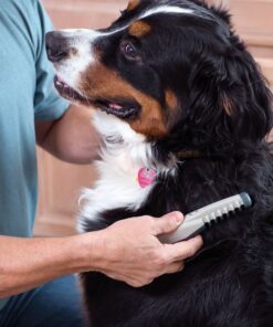 Allstar Innovations Knot Out Electric Pet Grooming Comb - Remove Knots and Tangles 11 A1JNOGjsHWL