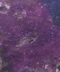 Chemi-Clean - 2 g 2g 59 A1Lo3hfKKJL