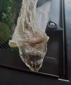 Inkbird Digital Pre-Wired Outlet Dual Stage Humidity Controller IHC-200 for Mushroom Ventilator Fan Crawl Space Curing Meat Grow Room Tent Humidifier Dehumidifier. 50 A1N0RJ945vL