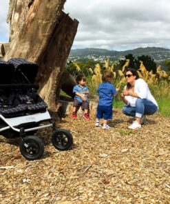 Mountain Buggy Duet V3 Buggy, Grid 33 A1PxP8Pur7L