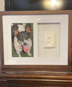 Pearhead Dog Or Cat Paw Prints Pet Wall Frame With Clay Imprint Kit, Pet Sentiment Keepsake Frame, Pet Memorial Picture Frame, Espresso 4 x 6" 38 A1Q7MS3YOZL