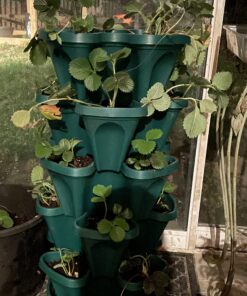 Mr. Stacky 1305-HG 5-Tier Stackable Strawberry, Herb, Flower, & Vegetable Planter - Vertical Gardening Indoor / Outdoor Stacking Garden Pots Hunter Green, 22.5 Quarts 29 A1QUIej9d L