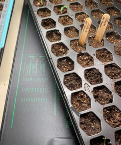 VIVOSUN 10"x 20.75" Seedling Heat Mat and Digital Thermostat Combo Set, UL & MET-Certified Warm Hydroponic Heating Pad for Germination, Indoor Gardening, Greenhouse 10"x20.75" 47 A1Qdrn0IFRL