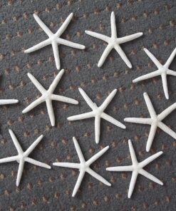 LOT of 10 White Pencil Starfish Wedding Decor 4" - 5" 17 A1S AWyh7aL