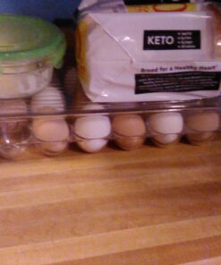 iDesign Plastic Egg Holder for Refrigerator with Handle and Lid, Fridge Storage Organizer for Kitchen, Set of 1, Clear 59 A1S9bUtnq7L