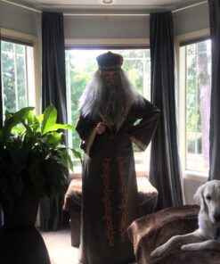 elope Harry Potter Dumbledore Costume Tassel Hat Standard Multi 36 A1SINgQgEML