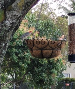 Droll Yankees 21964205201 787461785928 Squirrel Proof Bird Feeder, Yankee Whipper, 28-Inch, 4 P, Evening Blue 29 A1SpDFBs5PL