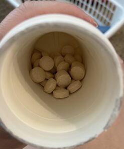 6 Billion CFU Kids/Children's Probiotics with Prebiotics, Sunfiber and Fos, for 10x More Effectiveness. One A Day Great Taste Chewable Probiotic, 2 Months Supply Per Bottle 32 A1T8YBNUzZL